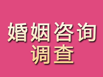 共青城婚姻咨询调查