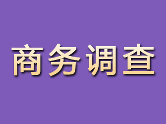 共青城商务调查